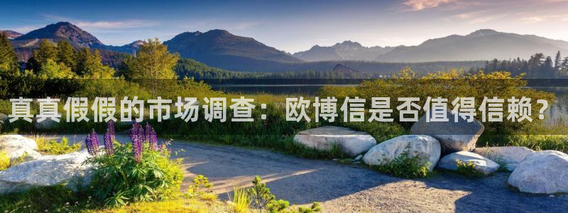 天天购彩凯捷平台：真真假假的市场调查：欧博信是否值得信赖？