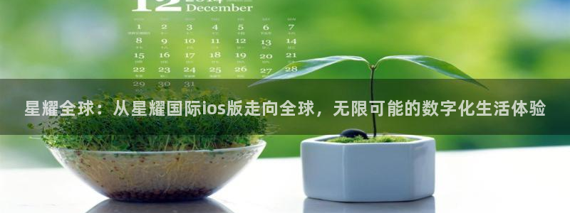 天天购彩vk：星耀全球：从星耀国际ios版走向全球，无限可能的数字化生活体验
