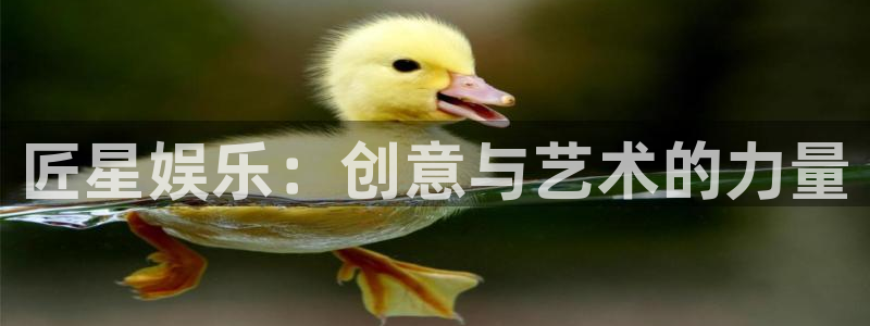 天天购彩登陆：匠星娱乐：创意与艺术的力量