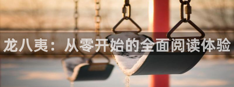 天天购彩代理注册官网入口：龙八夷：从零开始的全面阅读体验