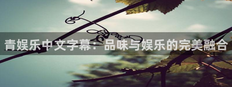 天天购彩：青娱乐中文字幕：品味与娱乐的完美融合