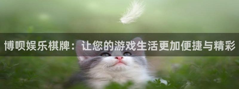 天天购彩5注册：博呗娱乐棋牌：让您的游戏生活更加便捷与精彩