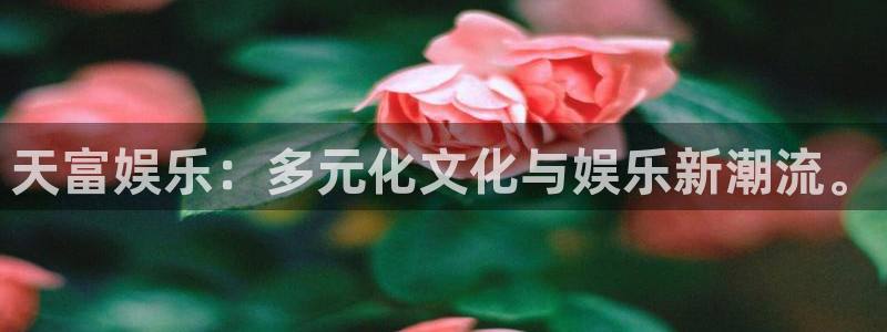 天天购彩招商：天富娱乐：多元化文化与娱乐新潮流。