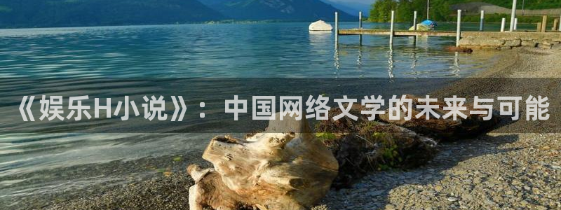 天天购彩平台：《娱乐H小说》：中国网络文学的未来与可能