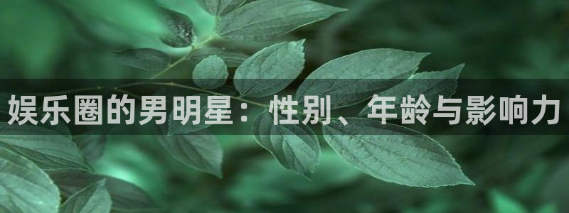 天天购彩平台招商：娱乐圈的男明星：性别、年龄与影响力