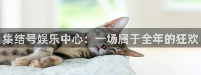 福建天天购彩机电股份公司：集结号娱乐中心：一场属于全年的狂欢