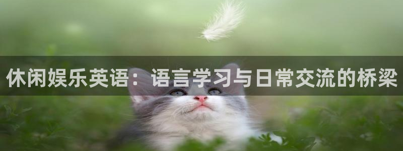 天天购彩招商：休闲娱乐英语：语言学习与日常交流的桥梁