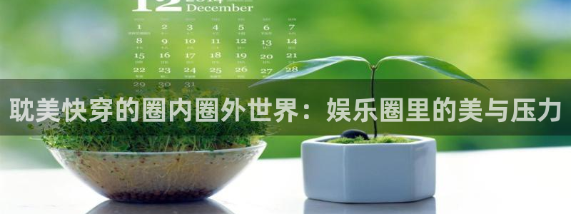 天天购彩平台：耽美快穿的圈内圈外世界：娱乐圈里的美与压力