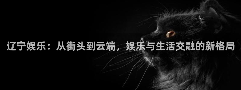 天天购彩5：辽宁娱乐：从街头到云端，娱乐与生活交融的新格局