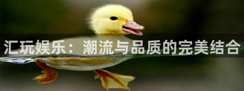 天天购彩招商：汇玩娱乐：潮流与品质的完美结合