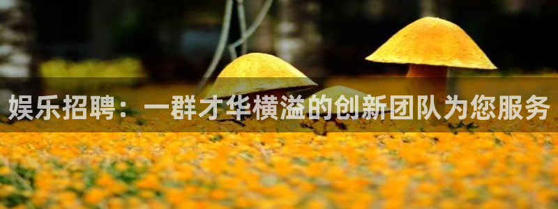 天天购彩：娱乐招聘：一群才华横溢的创新团队为您服务