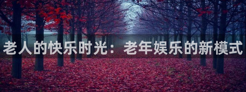 天天购彩2平台登录：老人的快乐时光：老年娱乐的新模式