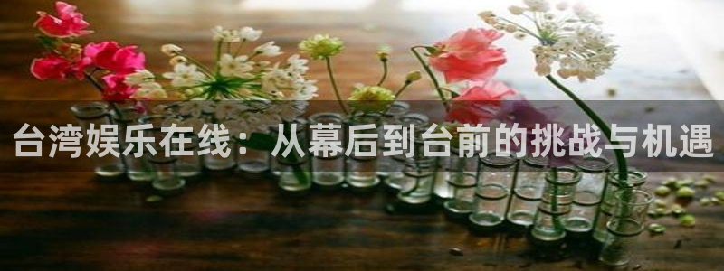 天天购彩体育用品：台湾娱乐在线：从幕后到台前的挑战与机遇