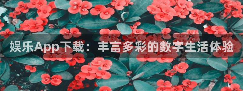 天天购彩3官网：娱乐App下载：丰富多彩的数字生活体验