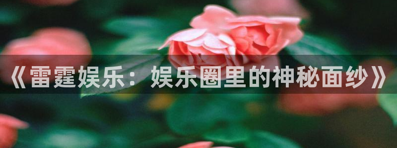 天天购彩游戏有哪些好玩的：《雷霆娱乐：娱乐圈里的神秘面纱》