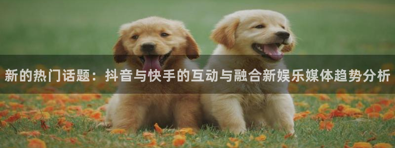 天天购彩f凯捷注册：新的热门话题：抖音与快手的互动与融合新娱乐媒体趋势分析