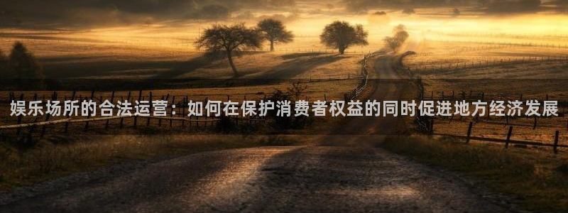 天天购彩官网入口：娱乐场所的合法运营：如何在保护消费者权益的同时促进地方经济发展