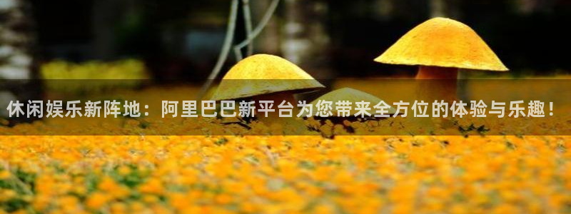 天天购彩体育f开户：休闲娱乐新阵地：阿里巴巴新平台为您带来全方位的体验与乐趣！