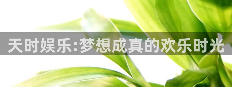 天天购彩体育免费注册入口：天时娱乐:梦想成真的欢乐时光