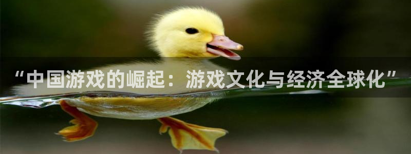 上海天天购彩汽车电子有限公司：“中国游戏的崛起：游戏文化与经济全球化”