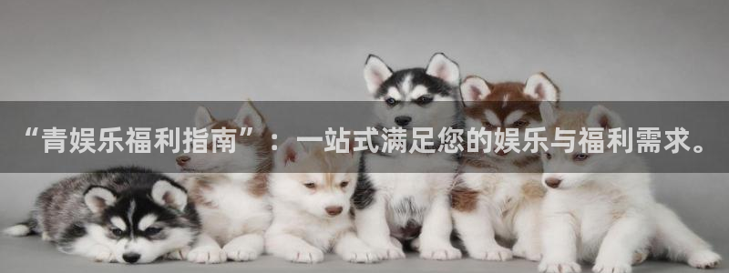 德国天天购彩集团：“青娱乐福利指南”：一站式满足您的娱乐与福利需求。